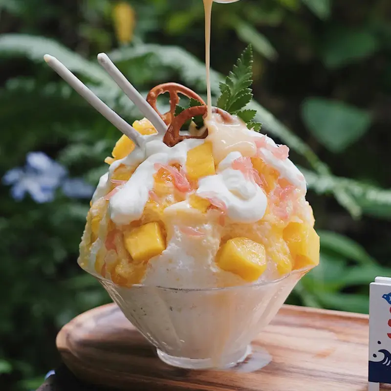 Drink Mixes-Smoothie Powder/Shaved Ice Powder-4