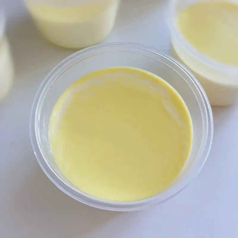 Drink Mixes-Milk Skin Yogurt Powder-2