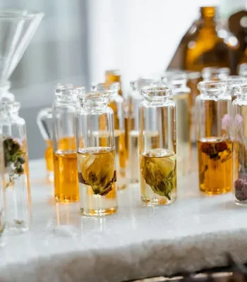 Advantages of HEQUAN Food Essences – Elevating Taste Innovation